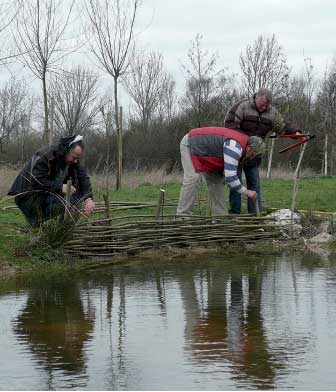 Fte du Saule